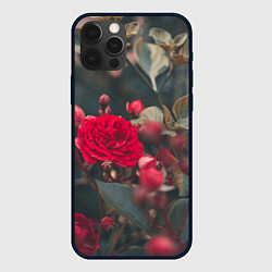 Чехол iPhone 12 Pro Красная дикая роза