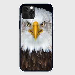 Чехол для iPhone 12 Pro Орёл в отражении, цвет: 3D-черный