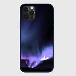 Чехол для iPhone 12 Pro Northern lights, цвет: 3D-черный
