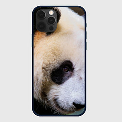 Чехол для iPhone 12 Pro Загадочная панда, цвет: 3D-черный