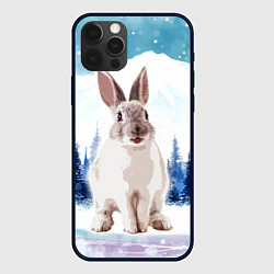Чехол для iPhone 12 Pro Кролик в зимнем лесу, цвет: 3D-черный