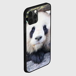 Чехол для iPhone 12 Pro Панда отдыхает, цвет: 3D-черный — фото 2