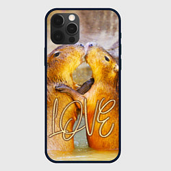Чехол для iPhone 12 Pro Влюблённые капибары, цвет: 3D-черный