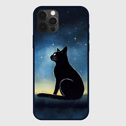 Чехол для iPhone 12 Pro Черный кот и звезды - акварель, цвет: 3D-черный