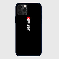Чехол для iPhone 12 Pro Иероглифы и красное солнце, цвет: 3D-черный