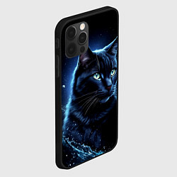 Чехол для iPhone 12 Pro Черный кот - брызги воды, цвет: 3D-черный — фото 2