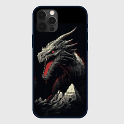 Чехол для iPhone 12 Pro Дракон морозных узоров, цвет: 3D-черный