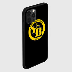 Чехол для iPhone 12 Pro Young Boys футбольный клуб, цвет: 3D-черный — фото 2