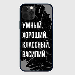 Чехол для iPhone 12 Pro Умный хороший классный: Василий, цвет: 3D-черный