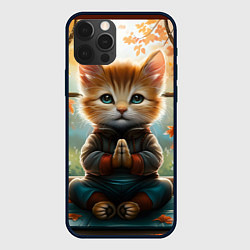 Чехол для iPhone 12 Pro Медитирующий кот цветной, цвет: 3D-черный