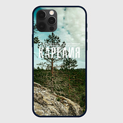 Чехол для iPhone 12 Pro Природа Карелии, цвет: 3D-черный
