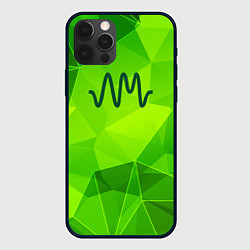 Чехол для iPhone 12 Pro Arctic Monkeys green poly, цвет: 3D-черный