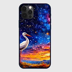 Чехол для iPhone 12 Pro Аист и космос, цвет: 3D-черный