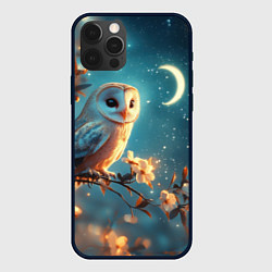Чехол для iPhone 12 Pro Сова и звездное небо, цвет: 3D-черный