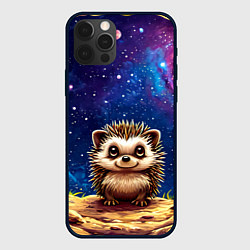 Чехол для iPhone 12 Pro Ежик и звездное небо, цвет: 3D-черный