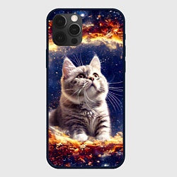 Чехол для iPhone 12 Pro Кошка шиншилла в космосе, цвет: 3D-черный
