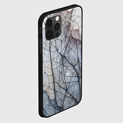 Чехол для iPhone 12 Pro Прожилки листьев, цвет: 3D-черный — фото 2