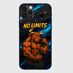 Чехол для iPhone 12 Pro No limits сильный бык, цвет: 3D-черный
