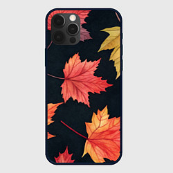 Чехол iPhone 12 Pro Кленовые листья на черном - акварельный паттерн
