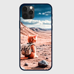 Чехол для iPhone 12 Pro Котёнок путешественник в пустыне, цвет: 3D-черный