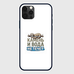 Чехол для iPhone 12 Pro Под лежачий камень бежевый арт, цвет: 3D-черный