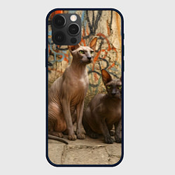 Чехол для iPhone 12 Pro Петерболды сидят на фоне стены с граффити, цвет: 3D-черный