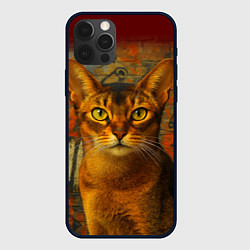 Чехол для iPhone 12 Pro Абиссинская кошка на фоне кирпичной стены с граффи, цвет: 3D-черный