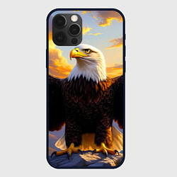 Чехол для iPhone 12 Pro Белоголовый орлан владыка небес, цвет: 3D-черный