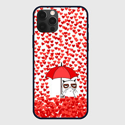 Чехол для iPhone 12 Pro Сердцепад и сердитый кот, цвет: 3D-черный