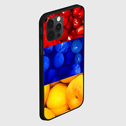 Чехол для iPhone 12 Pro Флаг Армении, цвет: 3D-черный — фото 2