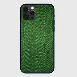 Чехол для iPhone 12 Pro Змеиная зеленая кожа, цвет: 3D-черный