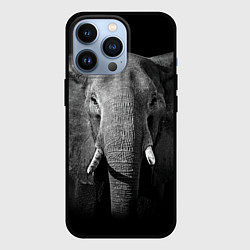 Чехол для iPhone 13 Pro Взгляд слона, цвет: 3D-черный