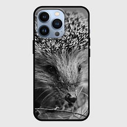 Чехол для iPhone 13 Pro Взгляд ёжика, цвет: 3D-черный