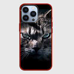Чехол iPhone 13 Pro Котик