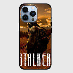 Чехол для iPhone 13 Pro STALKER: Radiation, цвет: 3D-черный