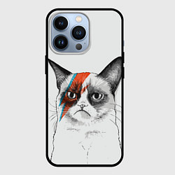 Чехол для iPhone 13 Pro David Bowie: Grumpy cat, цвет: 3D-черный
