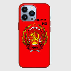 Чехол для iPhone 13 Pro Александр из СССР, цвет: 3D-красный