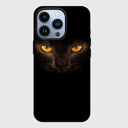Чехол для iPhone 13 Pro Кошачий взгляд, цвет: 3D-черный