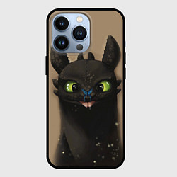 Чехол для iPhone 13 Pro Как приручить дракона, цвет: 3D-черный