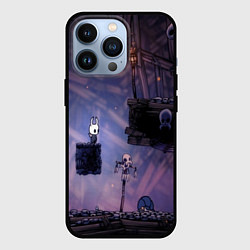 Чехол для iPhone 13 Pro HOLLOW KNIGHT, цвет: 3D-черный