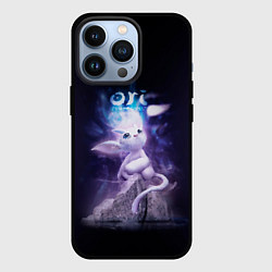 Чехол для iPhone 13 Pro Ori and The Will Of The Wisp, цвет: 3D-черный