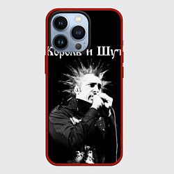 Чехол для iPhone 13 Pro Король и Шут Анархия спина, цвет: 3D-красный