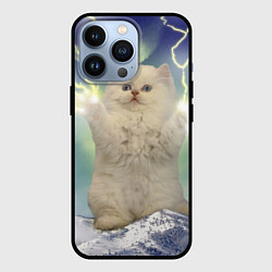 Чехол для iPhone 13 Pro Грозовой Котик, цвет: 3D-черный