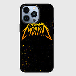 Чехол для iPhone 13 Pro Пошлая Молли, цвет: 3D-черный