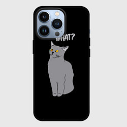 Чехол для iPhone 13 Pro What cat, цвет: 3D-черный