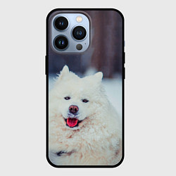 Чехол для iPhone 13 Pro САМОЕД, цвет: 3D-черный