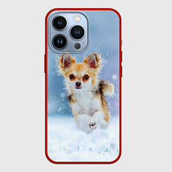 Чехол для iPhone 13 Pro Чихуахуа в снегу, цвет: 3D-красный