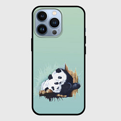 Чехол для iPhone 13 Pro Акварельные панды, цвет: 3D-черный
