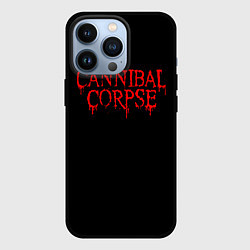 Чехол для iPhone 13 Pro Cannibal Corpse, цвет: 3D-черный