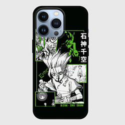 Чехол для iPhone 13 Pro Доктор Стоун Сенку, цвет: 3D-черный